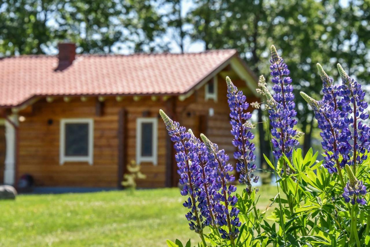 Meku Vila Degučiai Exteriör bild